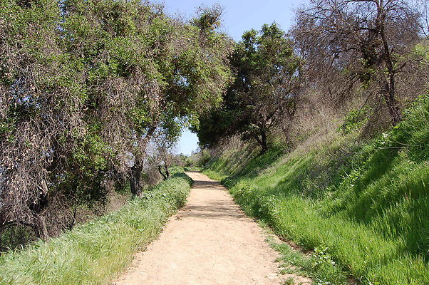 DSC 0467