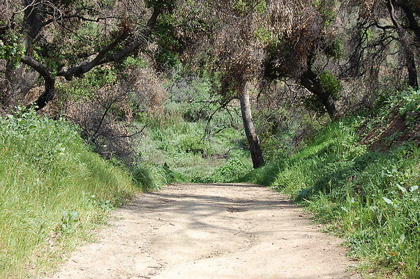 DSC 0447