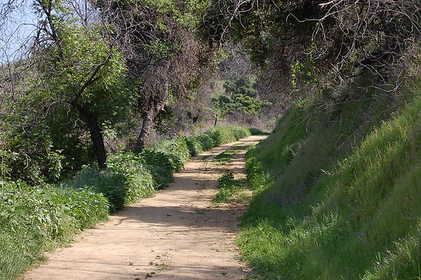 DSC 0477