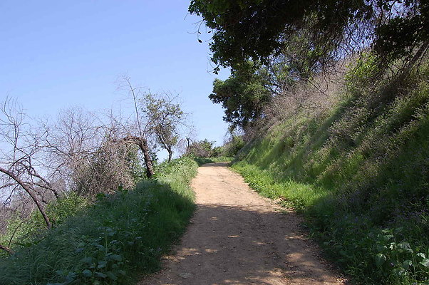 DSC 0471