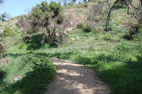 DSC 0453