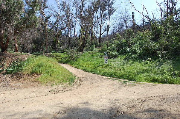 DSC 0440
