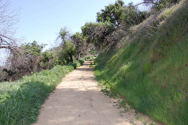 DSC 0475
