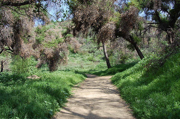 DSC 0449