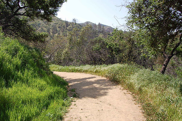 DSC 0466