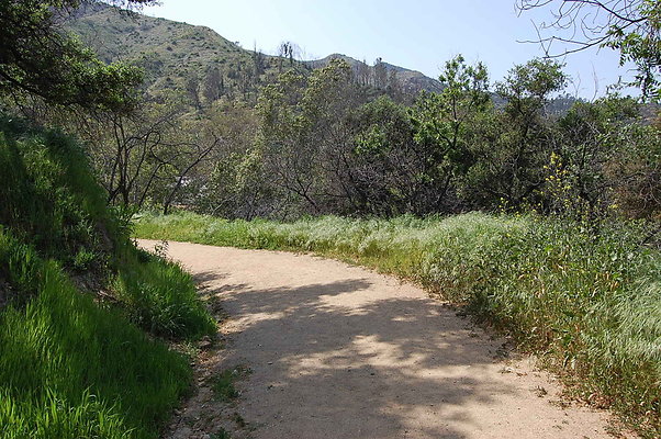 DSC 0478