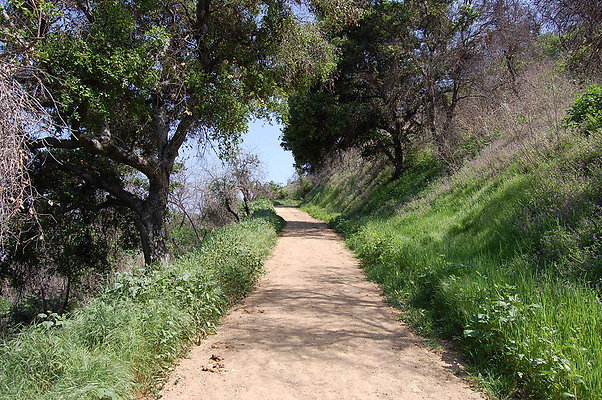 DSC 0470