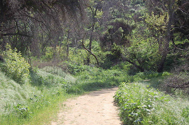 DSC 0458