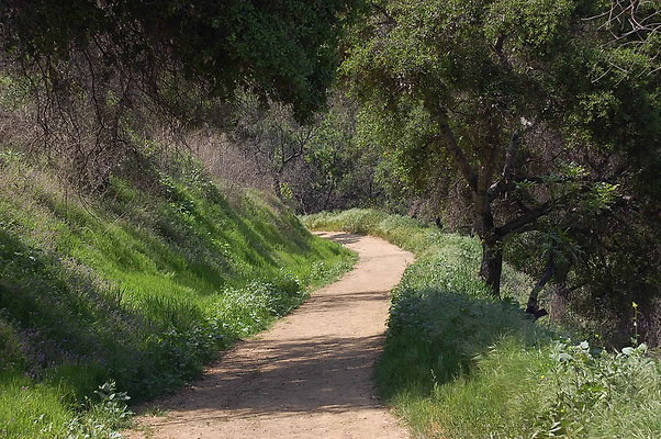 DSC 0473
