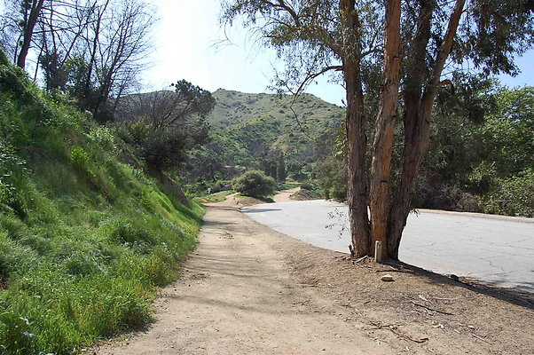 DSC 0442