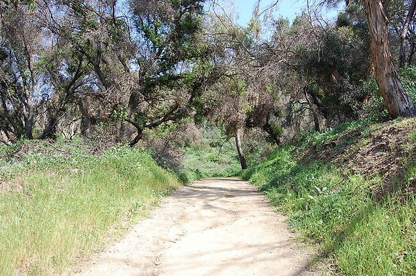 DSC 0448