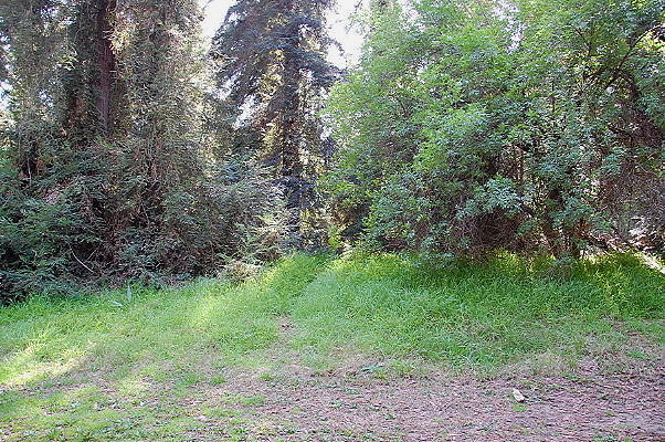 DSC 0049