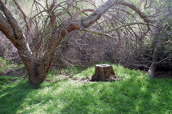DSC 0025