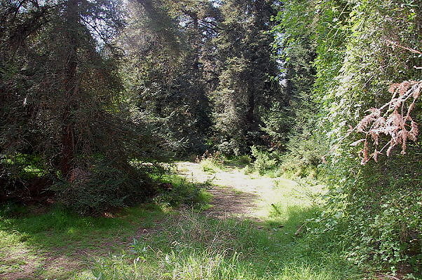 DSC 0033