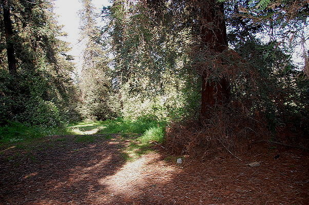 DSC 0016
