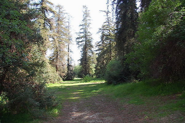 DSC 0051