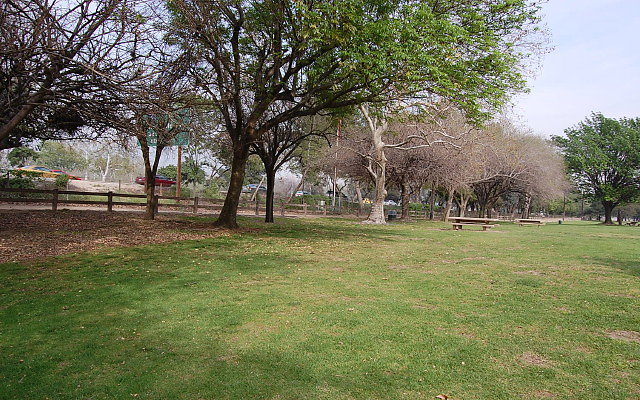 DSC 0314
