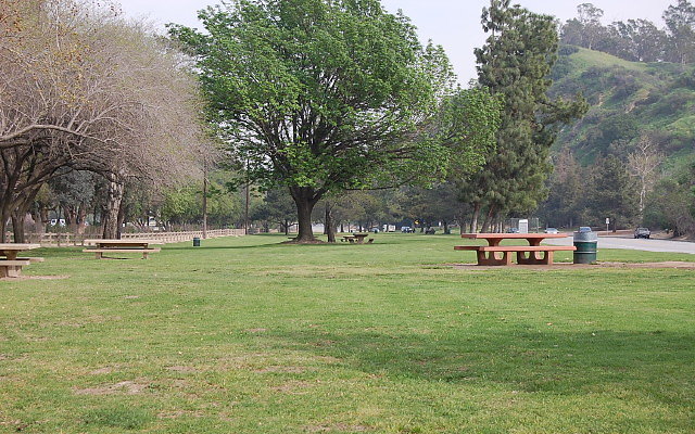 DSC 0316
