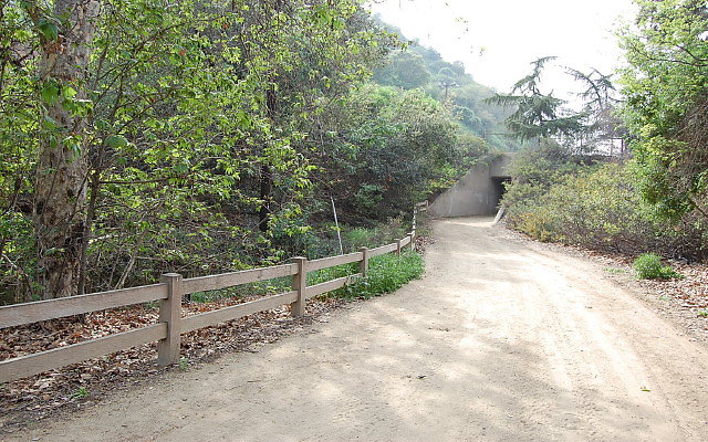 DSC 0309
