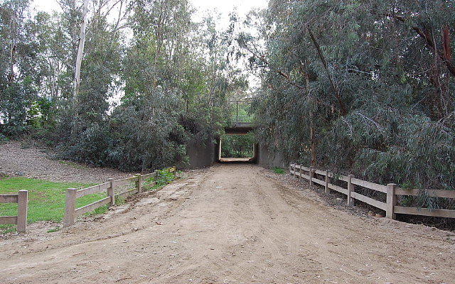 Tunnel No. 3