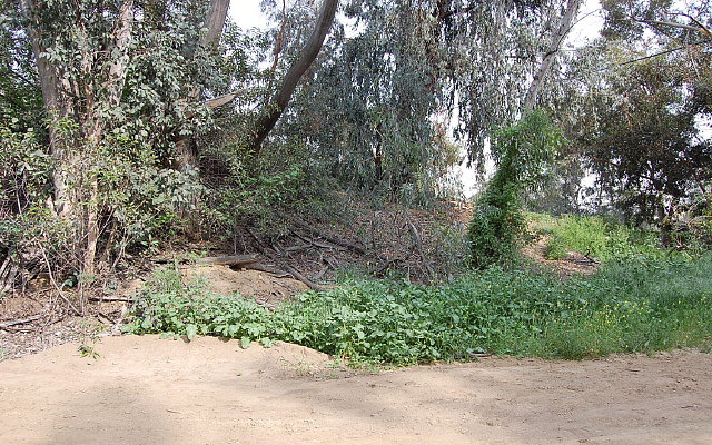 DSC 0382