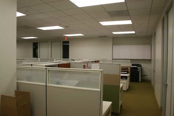 IMG 3250