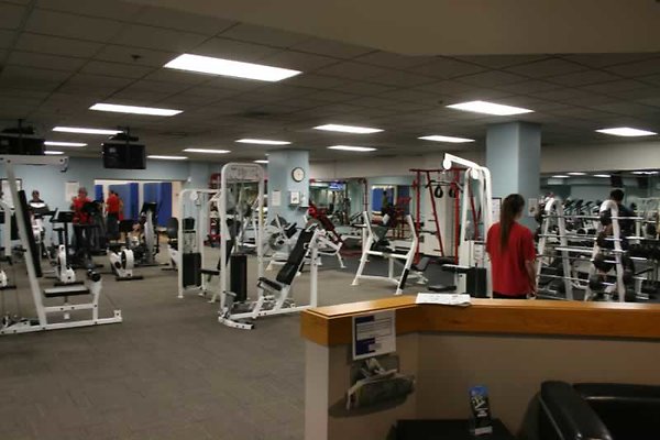IMG 1252