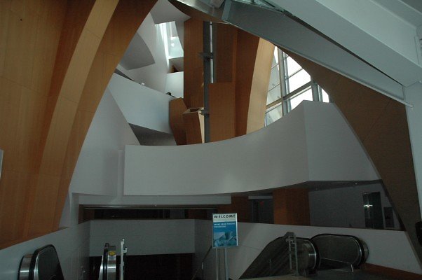 DSC 0005