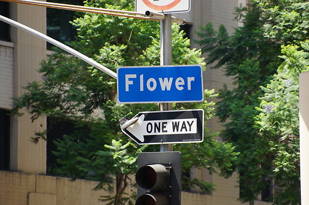 Flower.7th to 8th.Dtla