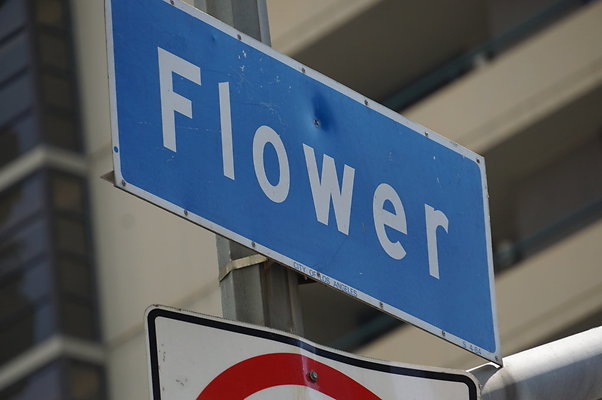 Flower.9th to Olympic.02