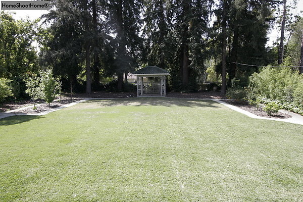 36backyard