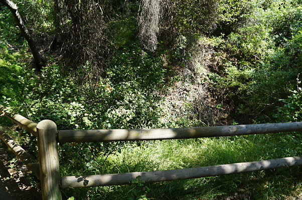Lake.Road.Foot.Bridge.09
