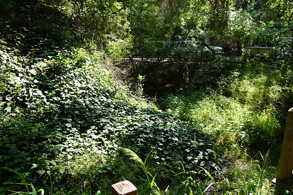 Lake.Road.Foot.Bridge.13