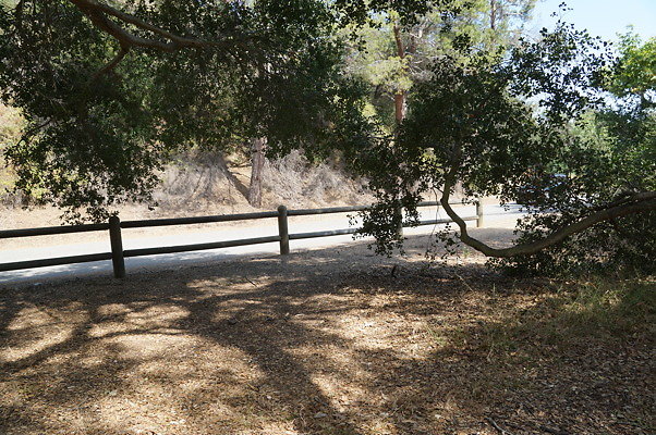 Franklin.Lake.Picnic.Foot.Bridge.29