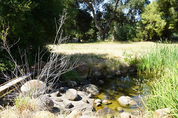 GO.Old.Pond.FBridge11