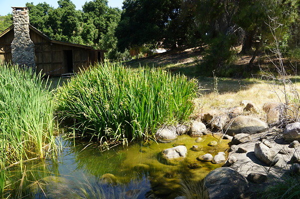 GO.Old.Pond.FBridge04