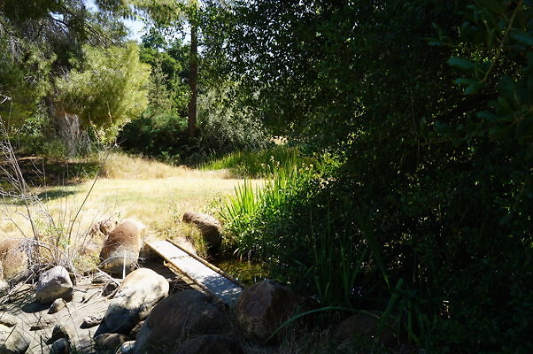 GO.Old.Pond.FBridge06