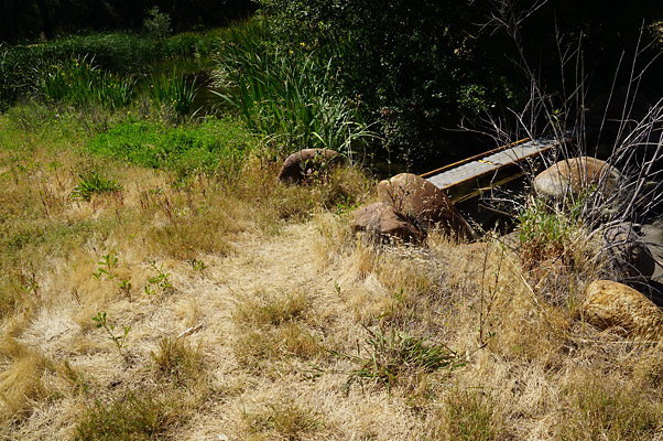 GO.Old.Pond.FBridge13