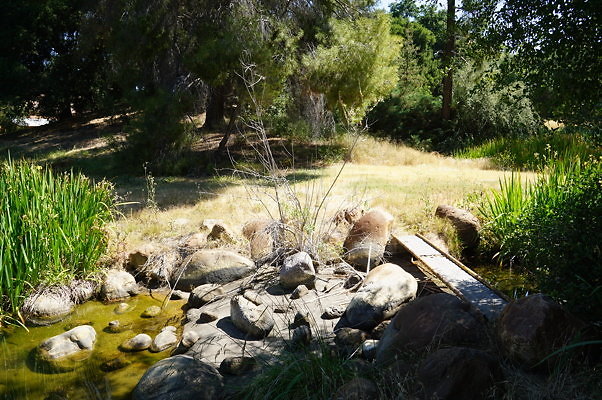 GO.Old.Pond.FBridge05