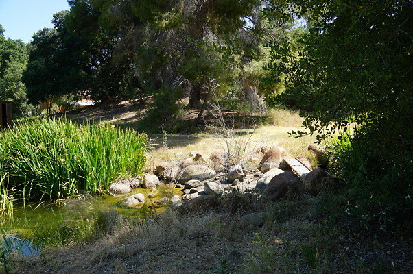 GO.Old.Pond.FBridge02