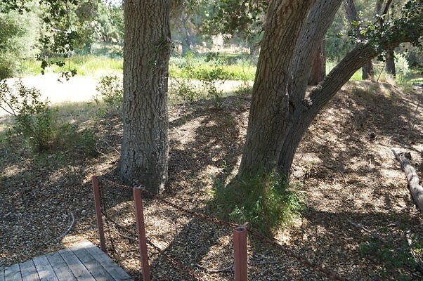 GO.Wood.Foot.Bridge.09