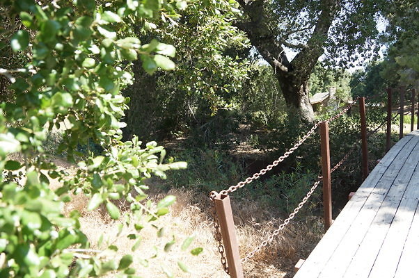 GO.Wood.Foot.Bridge.04