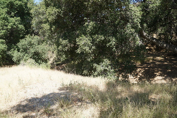 GO.Heil.Cyn.Ravine.08 GO.Heil.Cyn.Ravine.08