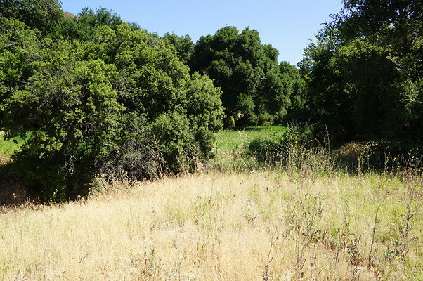 GO.Heil.Cyn.Ravine.03 GO.Heil.Cyn.Ravine.03