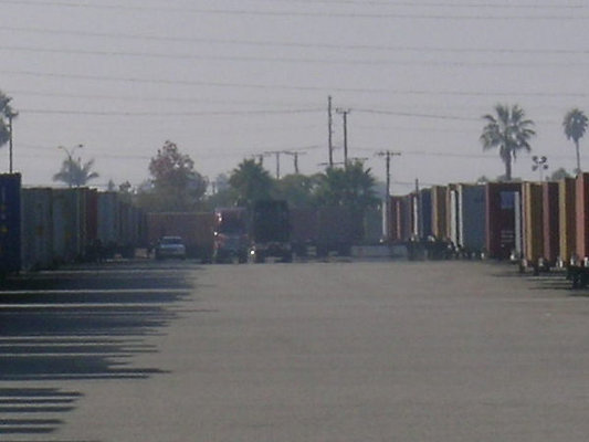 44567788-M