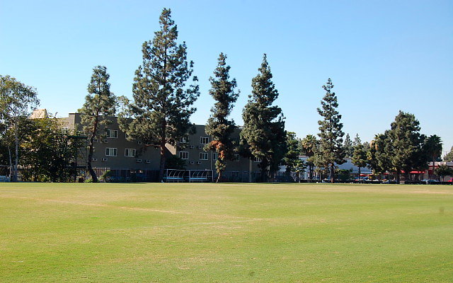 DSC 0105