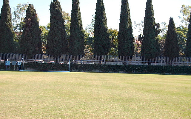 DSC 0073