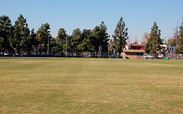 DSC 0054