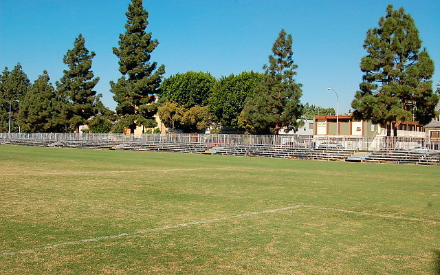 DSC 0052