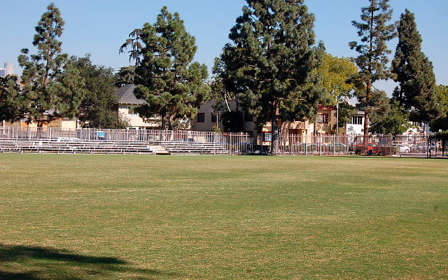 DSC 0061